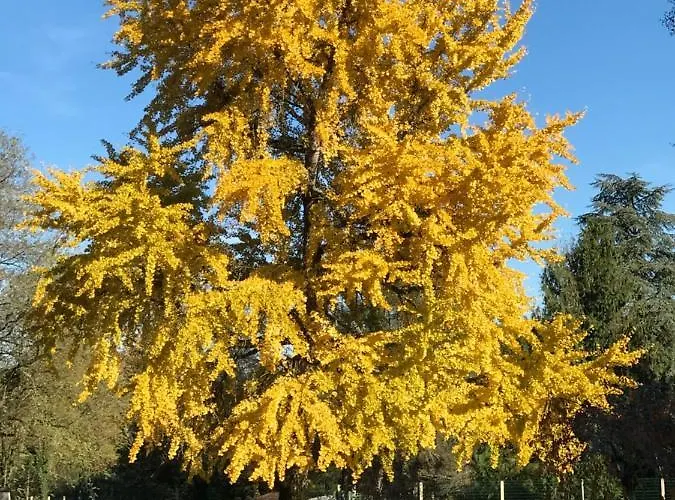 D'hotes De Pouzelande Nocleg ze śniadaniem 4*